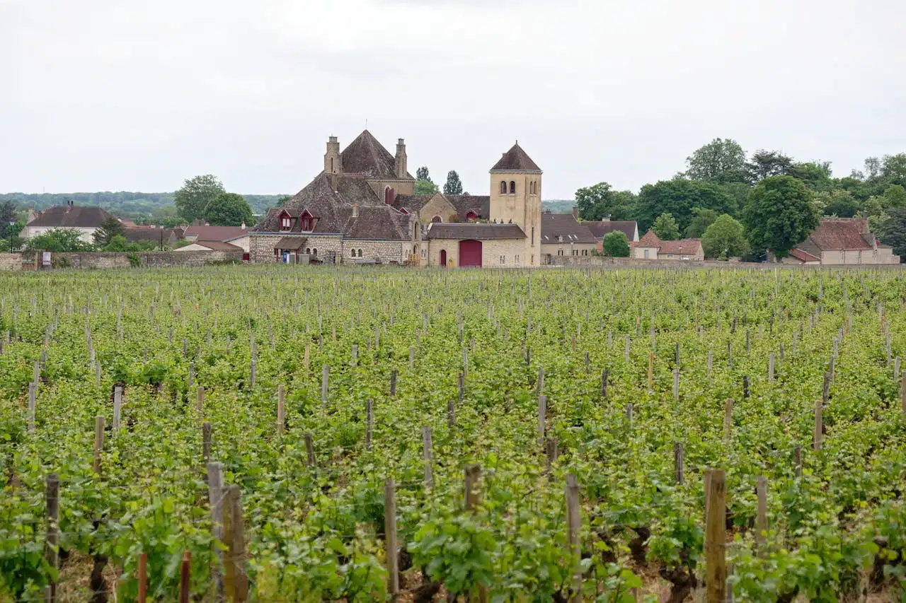 Bourgogne